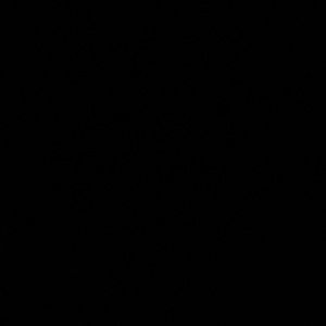 Meet your Posher, Nissy